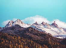 福特赛车部正式启用全新标识